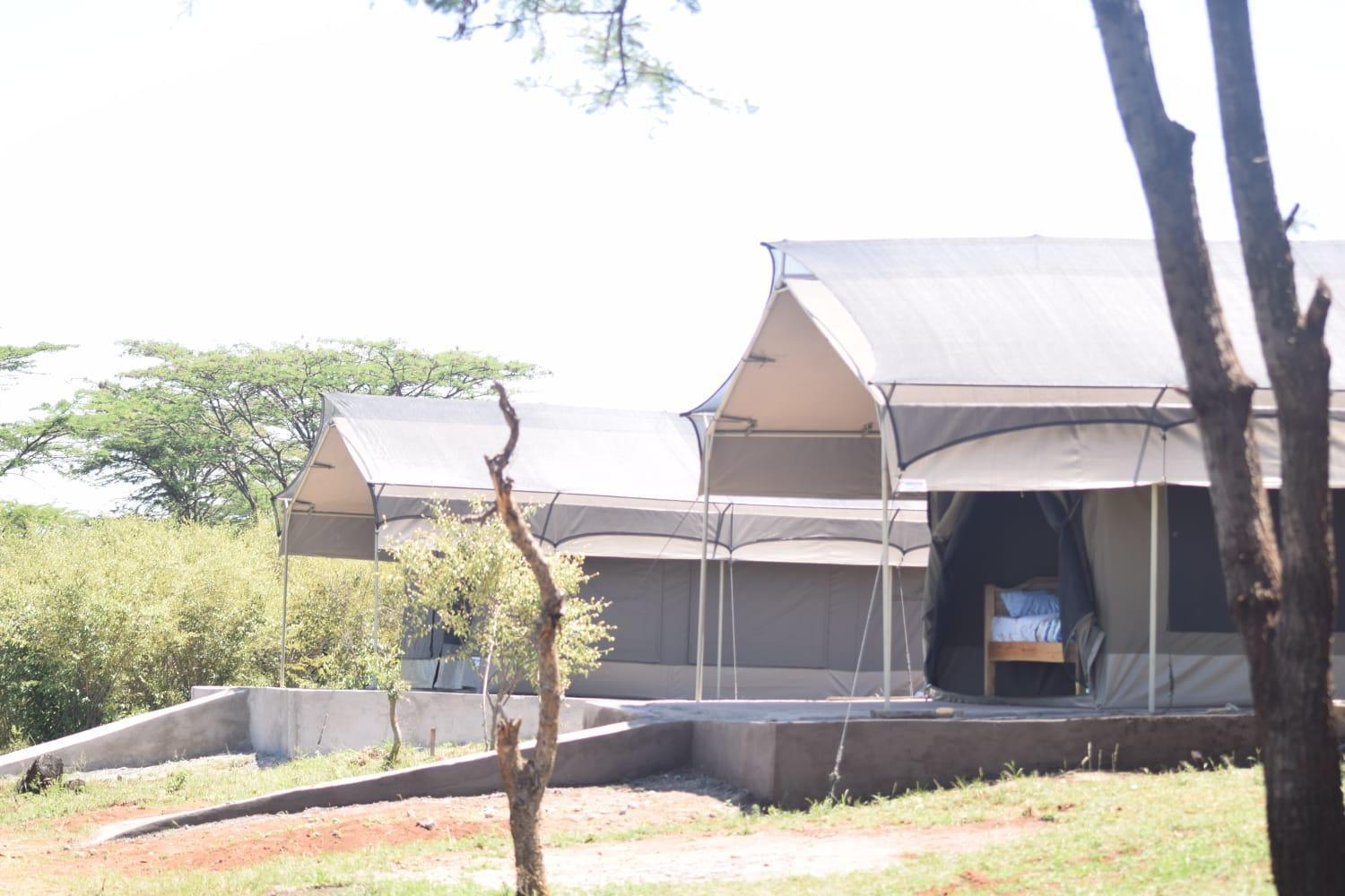 Maasai Mara Safari Camp In Kenya Bed & Breakfast Sekenani Ngoại thất bức ảnh